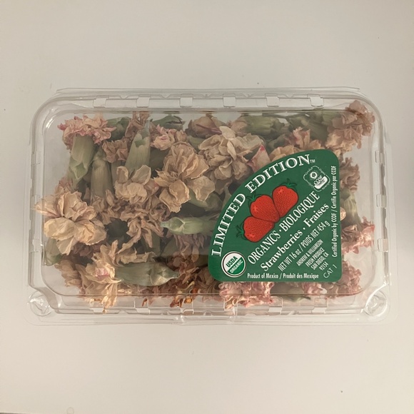 Carnation dried flowers pale shell pink color for arts, crafts, floral decor - Picture 3 of 3